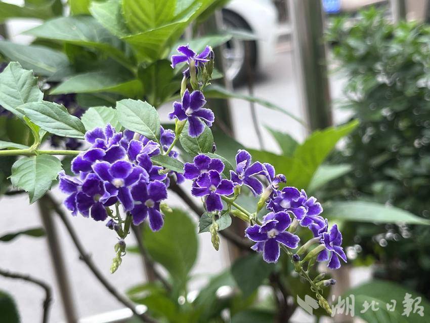 注册送888元可提现的游戏